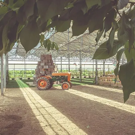 La Fragola De Bosch *