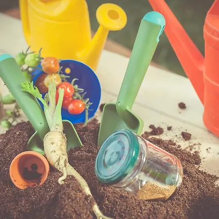 Farm stay La Fragola De Bosch Gambettola