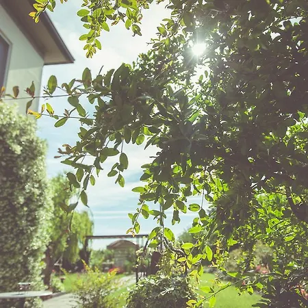 La Fragola De Bosch Gospodarstwo agroturystyczne Gambettola