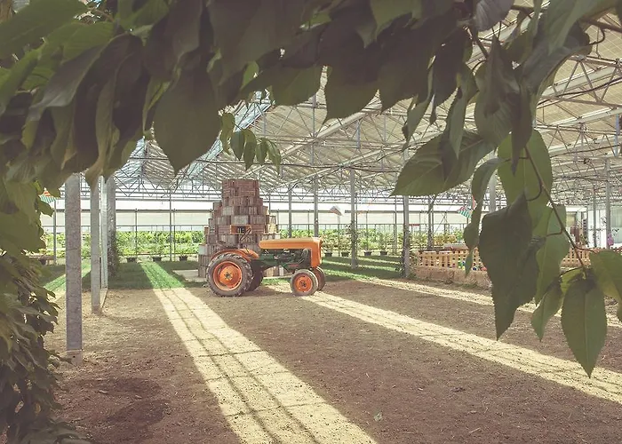 La Fragola De Bosch *