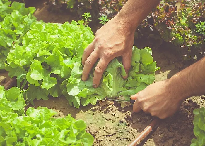Farm stay La Fragola De Bosch *