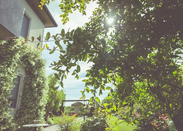 La Fragola De Bosch Farm stay Gambettola