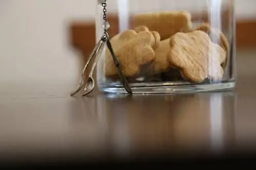 La Fragola De Bosch Gambettola