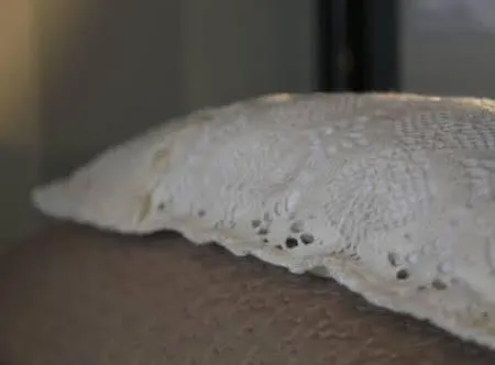 La Fragola De Bosch مزرعة للإقامة *